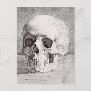 Grafische schedel kunst: minimalistisch & strak in briefkaart