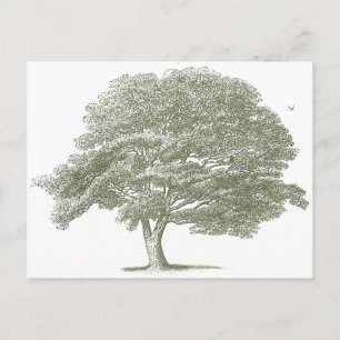 Grafische Sjabloon Elegant Wedding Tree Briefkaart