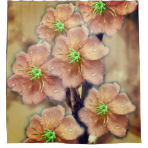 Grafische ventilator