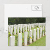 Grafstenen op een oorlogsbegraafplaats briefkaart (Voorkant / Achterkant)