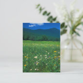 Grafton Notch weide Briefkaart (Staand voorkant)