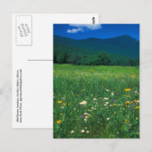 Grafton Notch weide Briefkaart (Voorkant / Achterkant)