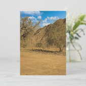 Grafveld in de Hajar bergen van de VAE Feestdagenkaart (Staand voorkant)