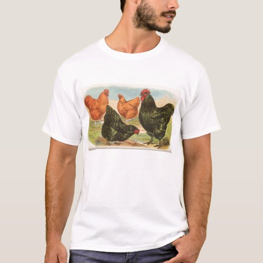 Graham - Orpington Chickens T-shirt (Voorkant)