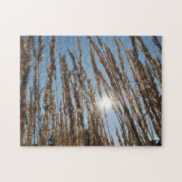 Grain Corn Field Harvest Sun Beauful Boerderij Fot Legpuzzel