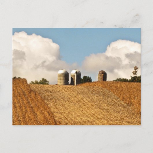 Grain Harvest Briefkaart (Voorkant)