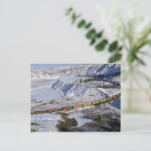 Grain train, Alberta, Canada Winter Briefkaart (Staand voorkant)