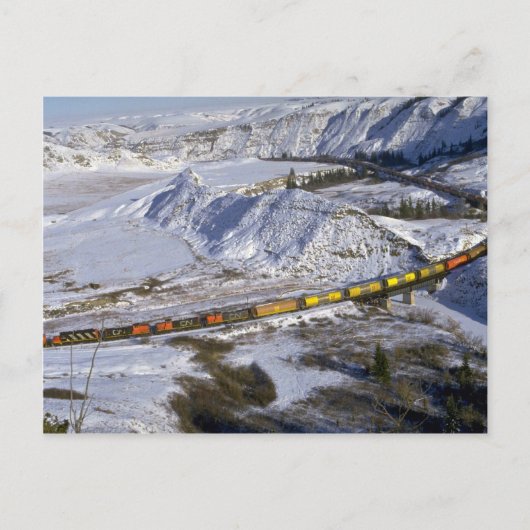 Grain train, Alberta, Canada Winter Briefkaart (Voorkant)