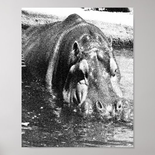 Grainy Black White Hippo Art, Poster (Voorkant)