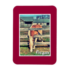 Gram Deluxe Edition magneet