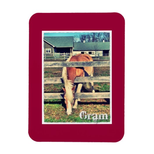 Gram Deluxe Edition magneet (Verticaal)