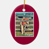 Gram Deluxe Edition Ornament (Voorkant)