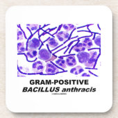 Gram-positieve Bacillus anthracis (Bacteria) Drankjes Onderzetter (Voorkant)