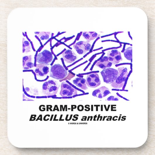 Gram-positieve Bacillus anthracis (Bacteria) Drankjes Onderzetter (Voorkant)