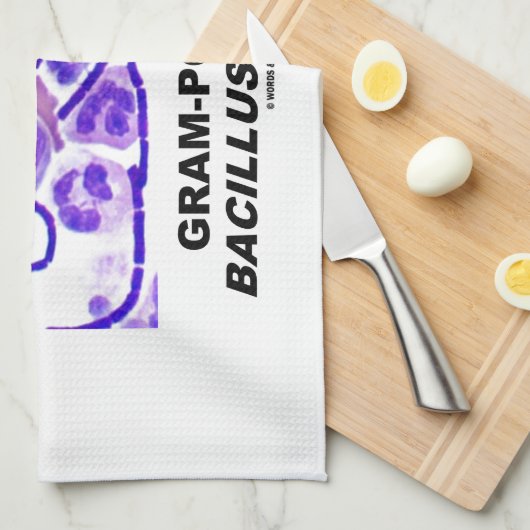 Gram-positieve Bacillus anthracis (Bacteria) Theedoek (Quarter Fold)