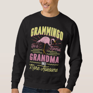 Grammingo Like A Normal Grandma Only More Awesome Trui
