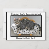 Grammy, je bent perfect! Tiger Cat Moederdag Feestdagenkaart (Voorkant)