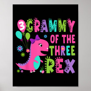 Grammy voor de Three Rex Dinosaur T-Rex 3rd Birthd Poster