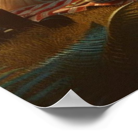 Gramophone Poster (Hoek)