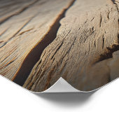 Gramophone Poster (Hoek)