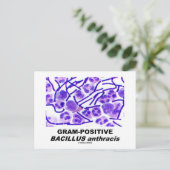 Grampositieve Bacillus anthracis (bacteriën) Briefkaart (Staand voorkant)