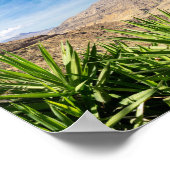 Gran Canary Mountain Landscape Poster (Hoek)