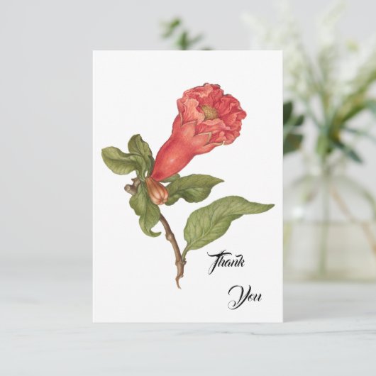 granaatappel bloei illustratie bedankkaart (Staand voorkant)