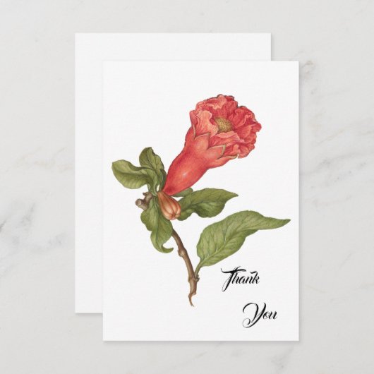 granaatappel bloei illustratie bedankkaart (Voorkant / Achterkant)