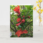 Granaatappel Bloemen Kaart (Gele Bloem)