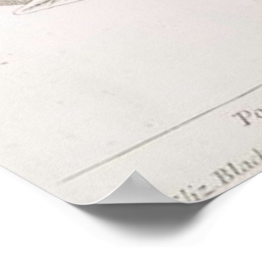 Granaatappel botanische tekening poster (Hoek)