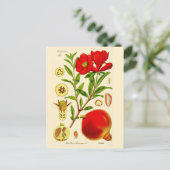 Granaatappel Briefkaart (Staand voorkant)