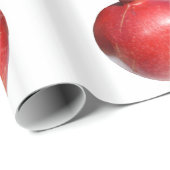 Granaatappel Cadeaupapier (Rol Hoek)