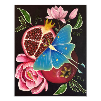 Granaatappel en Luna Moth Fine Art Print Foto Afdruk