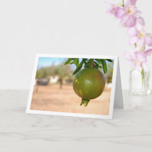 Granaatappel hangend aan boom kaart