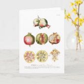 Granaatappel Kaart (Gele Bloem)