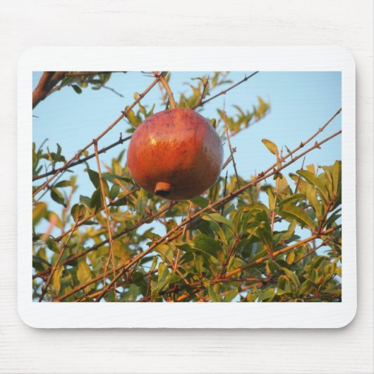 Granaatappel Muismat (Voorkant)