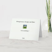 Granaatappel, Sinaasappel en Munt Kaart (Achterkant)