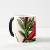 Granaatappelbloem -  illustratiedetail magische mok (Voorkant links)