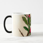 Granaatappelbloem -  illustratiedetail magische mok (Links)