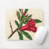 Granaatappelbloem -  illustratiedetail muismat (Met muis)