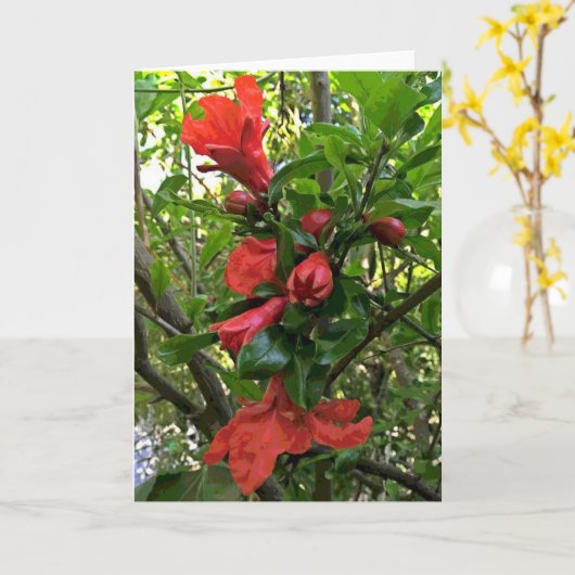 Granaatappelbloemen Kaart (Gele Bloem)