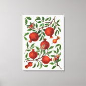 Granaatappels en Bella Moths op gebroken wit Canvas Afdruk (Voorkant)