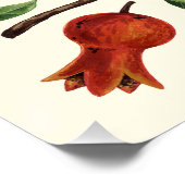 Granaatappels en Bella Moths op gebroken wit Perfect Poster (Hoek)