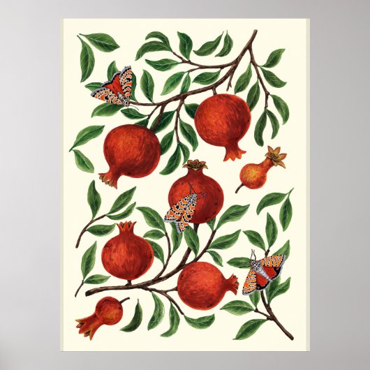 Granaatappels en Bella-motten op wit Poster (Voorkant)