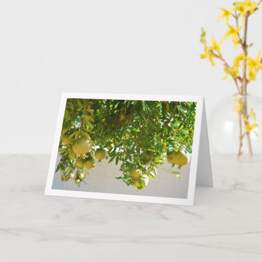 Granaatappels Hanging from Tree Kaart (Gele Bloem)