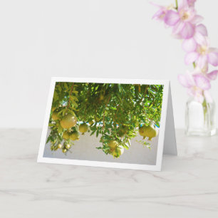 Granaatappels Hanging from Tree Kaart