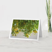 Granaatappels Hanging from Tree Kaart (Voorkant)