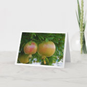 Granaatappels in Boom Portret Kaart (Voorkant)