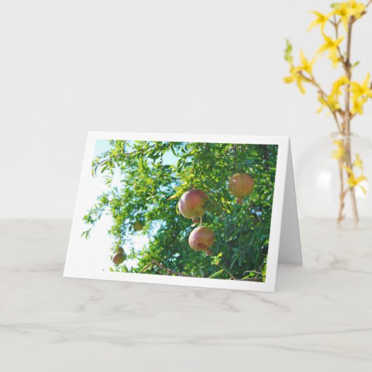 Granaatappels in Boom Portret Kaart (Gele Bloem)