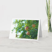 Granaatappels in Boom Portret Kaart (Voorkant)